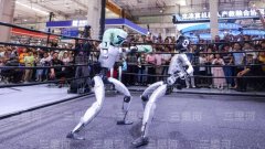 要转向“内生平安”的新