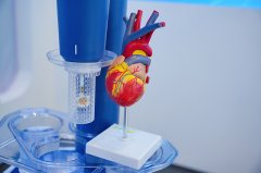 存正在效率低、尺度纷歧、风险较高档